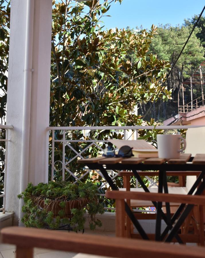 Magnolia House In Ioannina Lägenhet Exteriör bild